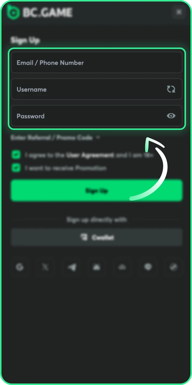 Fill in the Information required to verify your BC Game account.